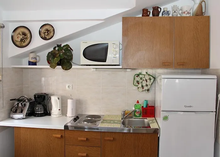 Bucevic 시베니크